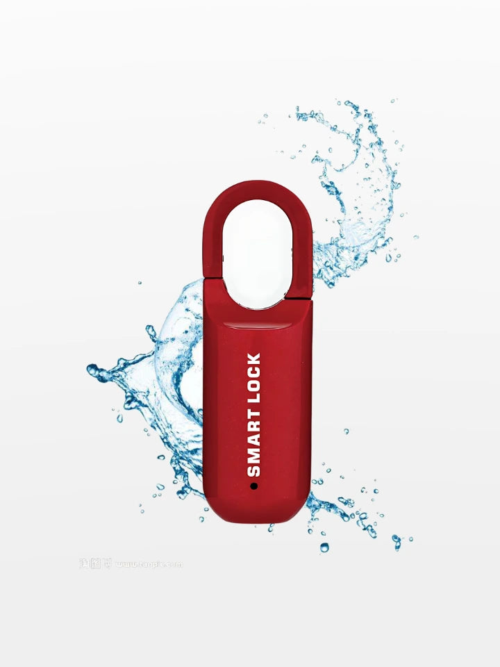 Smart Fingerprint Padlock